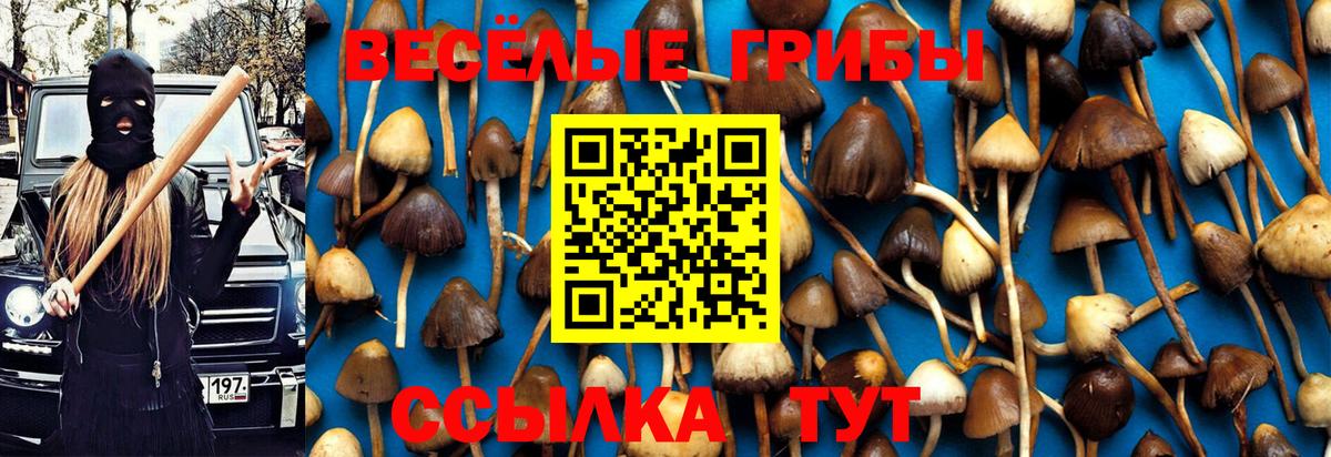 Черкесск  купить   Псилоцибиновые грибы мухоморы  Вход с VPN  Псилоцибиновые грибы GOLDEN TEACHER 