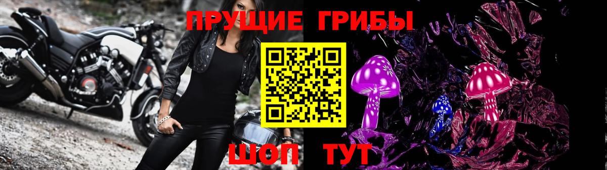 Псилоцибиновые грибы Psilocybine cubensis Черкесск